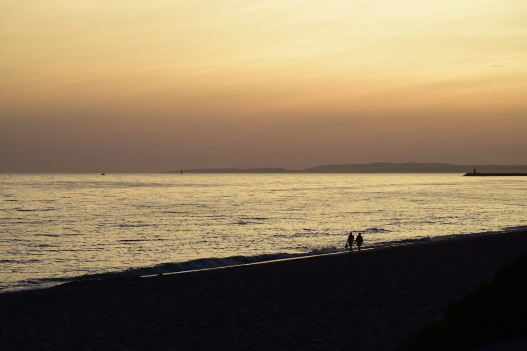 silhouette photography of ocean